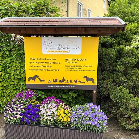 Pferdehof Thomayer Straßwalchen Kültér fotó