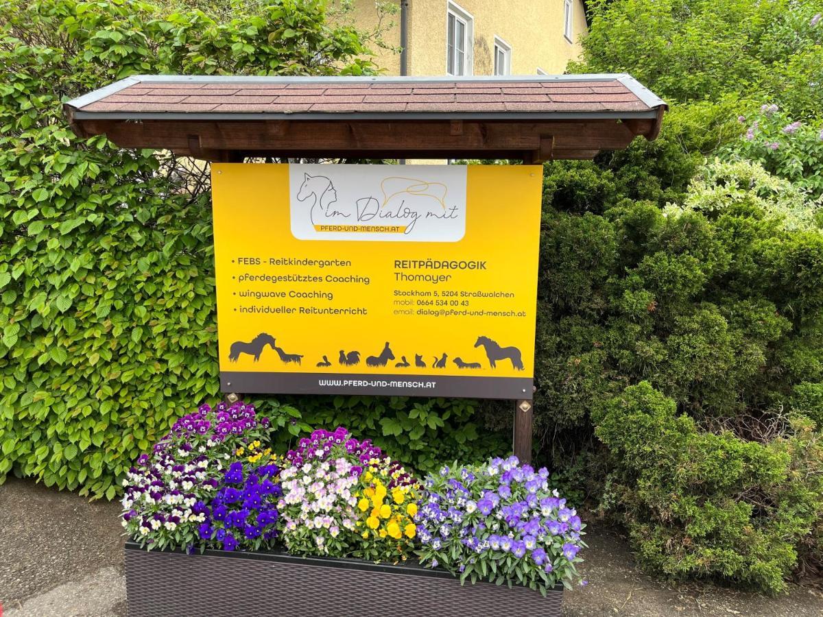 Pferdehof Thomayer Straßwalchen Kültér fotó
